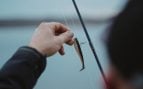 refrán de pescadores