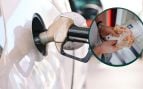 precio gasolina 30 septiembre Andalucía