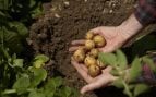 Agricultura regenerativa PepsiCo