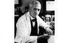 Alexander Fleming, frase, reflexión