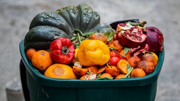 alimentos en la basura