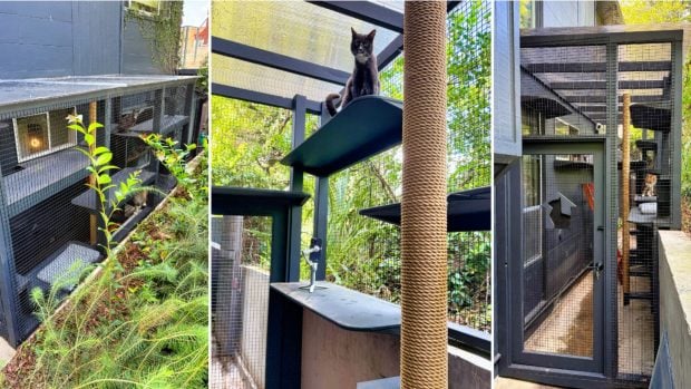 Instalación de un catio. (Foto: Catioguy).