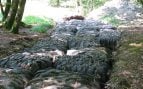 Neumáticos reutilizados como base de un camino en un terreno embarrado