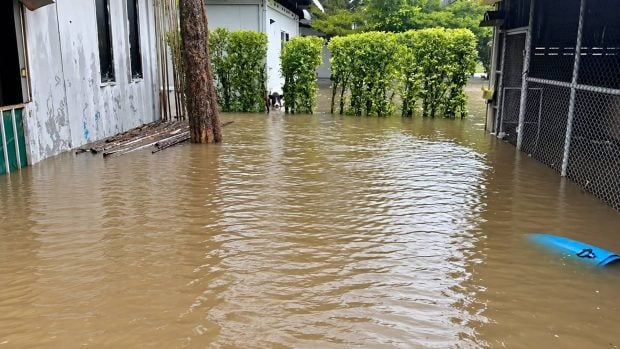 Frank Cuesta, hijo frank cuesta, inundaciones tailandia, tailandia