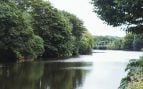 río