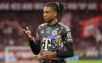 Olise, Bayern, renovación, salario