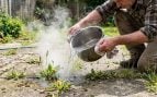Los jardineros han dejado de usar vinagre blanco para las malas hierbas: lo que usan en su lugar está en todas las cocinas después de cada comida