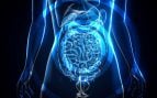 microbiota