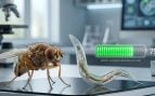 Mosca gusano longevidad