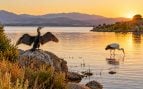 Embalse, curiosidades, aves, animales
