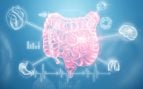 Azúcar y antibióticos: una combinación que podría dañar más la salud intestinal