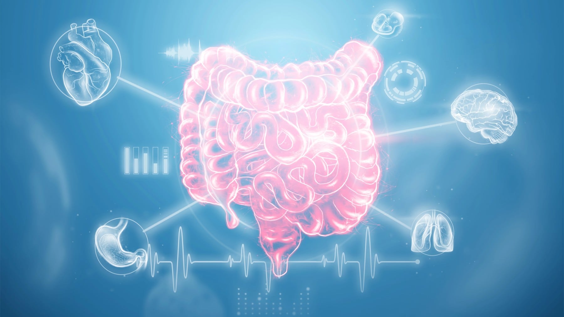 Azúcar y antibióticos: una combinación que podría dañar más la salud intestinal
