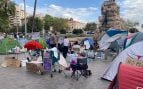 Palma acampada