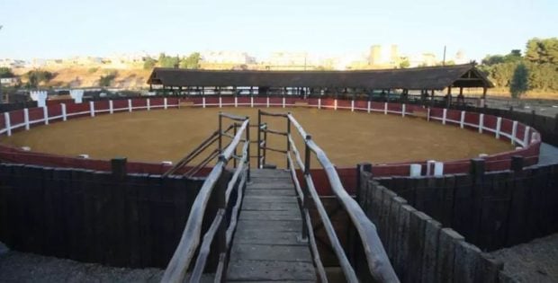 Ayuntamiento de la Puebla del R&iacute;o, Sevilla, Morante