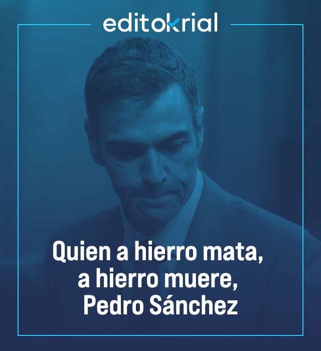 Quien a hierro mata, a hierro muere, Pedro Sánchez