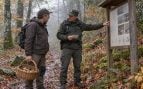 Multas por recoger setas, setas en la Rioja, sanción por recogida de setas, penalización por setas, multas por recoger setas.