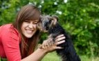 Perro, animales, mascotas