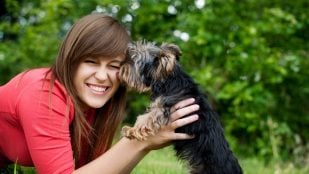 Perro, animales, mascotas