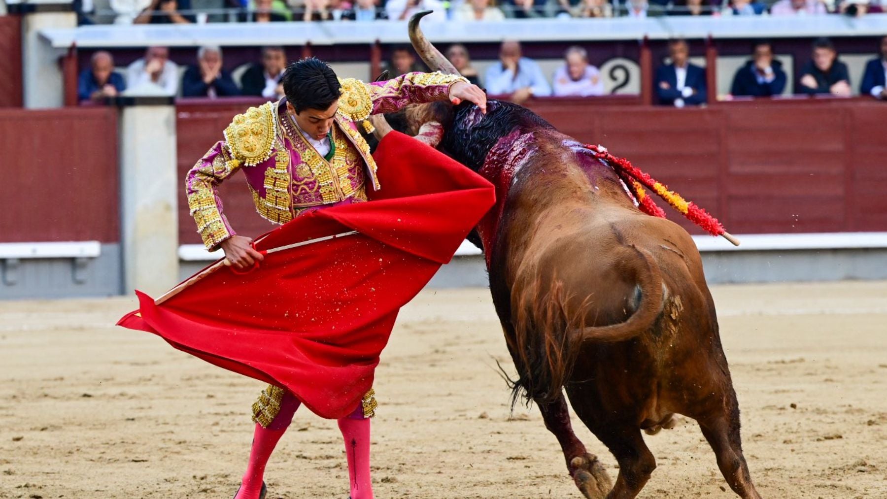 Agridulce confirmación de Marco Pérez