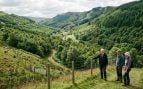Valle, Escocia, reforestación