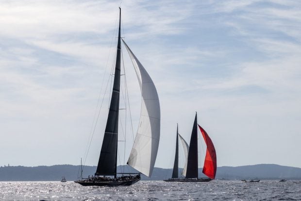 Les voiles de saint tropez