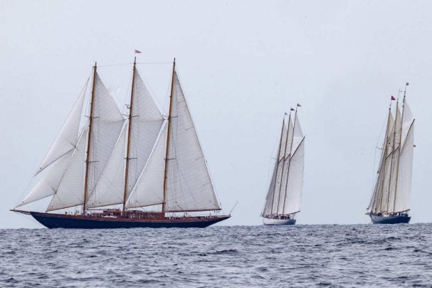 Les voiles de saint tropez