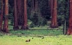 refugio fauna