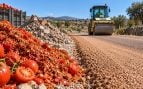 Usan tomates para construir carreteras, construyen carreteras con residuos de tomate en Extremadura, uso de tomate para la construcción.