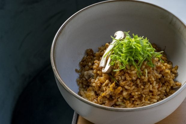 Arroz de Gingko Sky Bar en novedades COOL