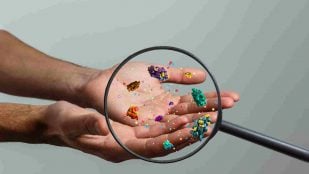 Microorganismos