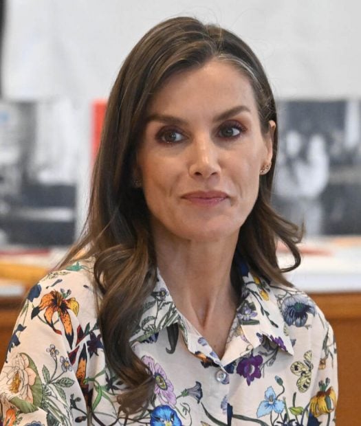 Reina Letizia, cejas, mirada, M&oacute;nica Ar&aacute;nguez