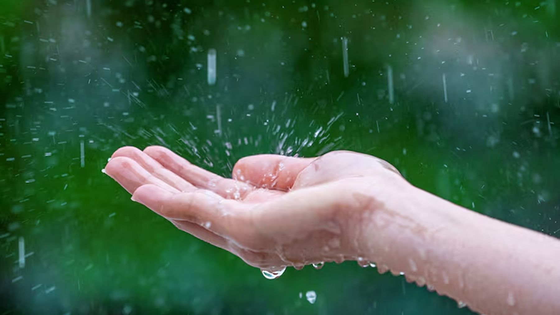 Los psicólogos expertos lo avalan: las personas a las que les gusta la lluvia no son tristes, en realidad sólo se sienten cómodas en los momentos de introspección