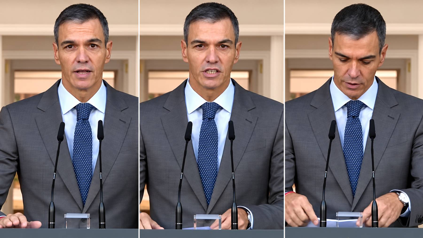 Pedro Sánchez. (Foto: RRSS)