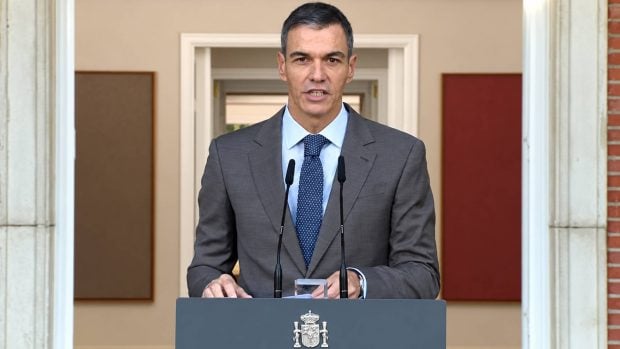 Pedro Sánchez, elecciones