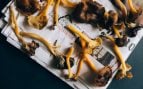 Recetas con setas