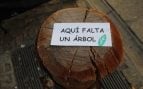 aqui falta un arbol ecopama 2026