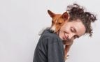 Perros, animales, mascotas