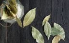 laurel