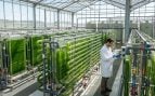 Microalgas, ciencia, curiosidades