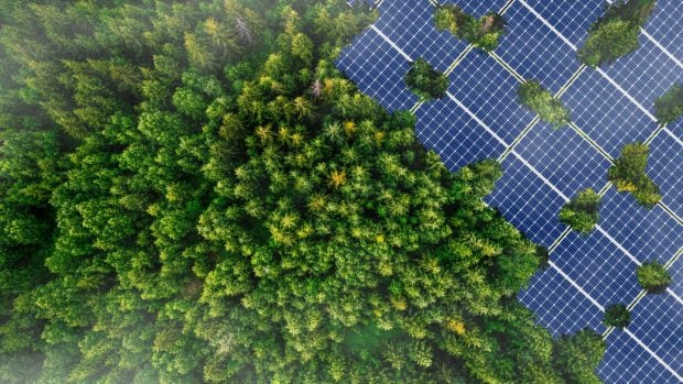 paneles solares