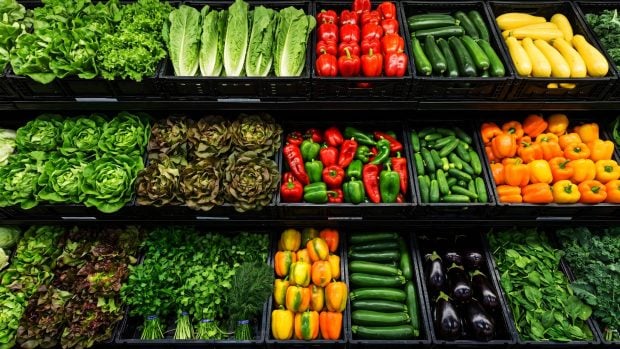 alimentos vegetales