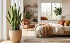 Los expertos en decoración coinciden: tener una lengua de suegra en casa es buena idea porque «bloquea las malas vibras y ayuda a mantener la energía del hogar»