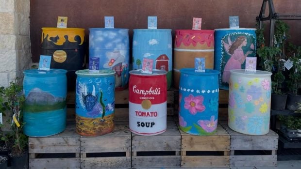 Diez barriles para recoger agua de lluvia pintados por j&oacute;venes artistas, en exhibici&oacute;n en un supermercado Sprouts Farmers Market de Cedar Park, Texas. Foto: Instagram - @rainbarrels4runoff