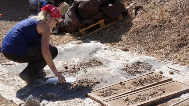 Una arqueóloga separa material del sedimento extendido sobre una lona, junto a los tamices de cribado, en el yacimiento fenicio del Cerro del Villar, en Málaga. Foto: Universidad de Málaga