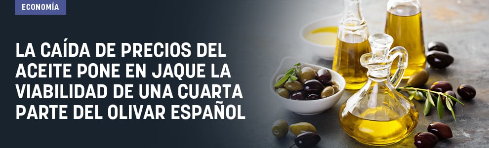 La caída de precios del aceite pone en jaque la viabilidad de una cuarta parte del olivar español