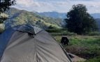vivir gratis en una eco-granja asturiana