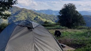 vivir gratis en una eco-granja asturiana