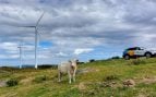 ARC Awards Iberdrola