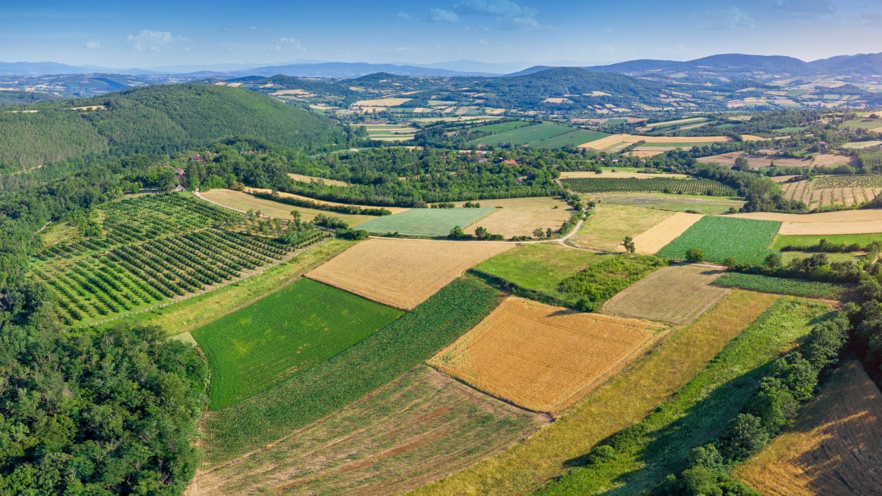 Ejemplo de paisaje mosaico.
