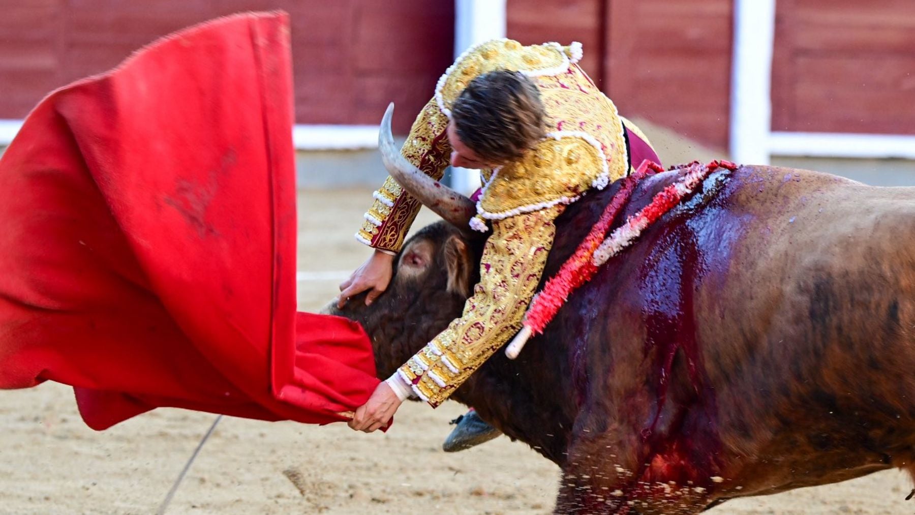 El novillero Álvaro Serrano herido de gravedad en Las Ventas durante su encerrona
